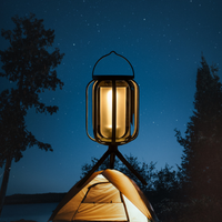 BUY 1 – The Lone Ember